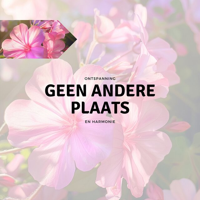 Geen Andere Plaats