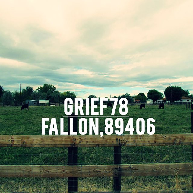 Fallon, 89406