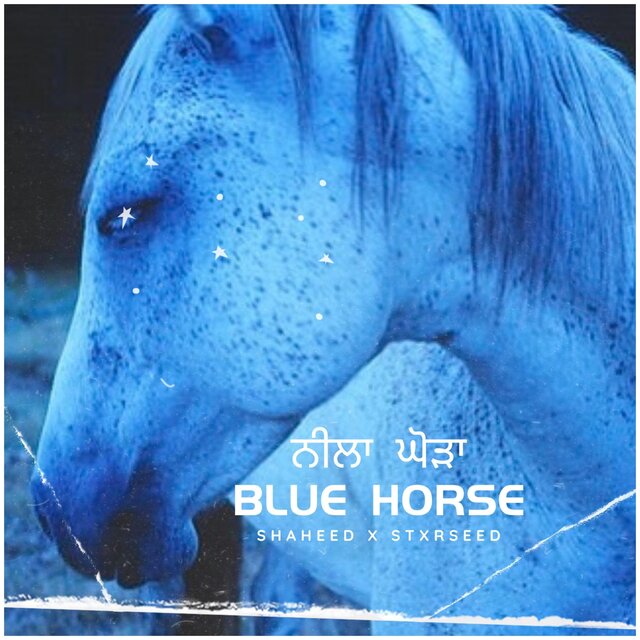 Blue Horse (feat. STXRSEED)