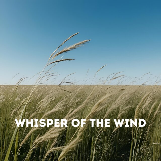 Whisper of the Wind