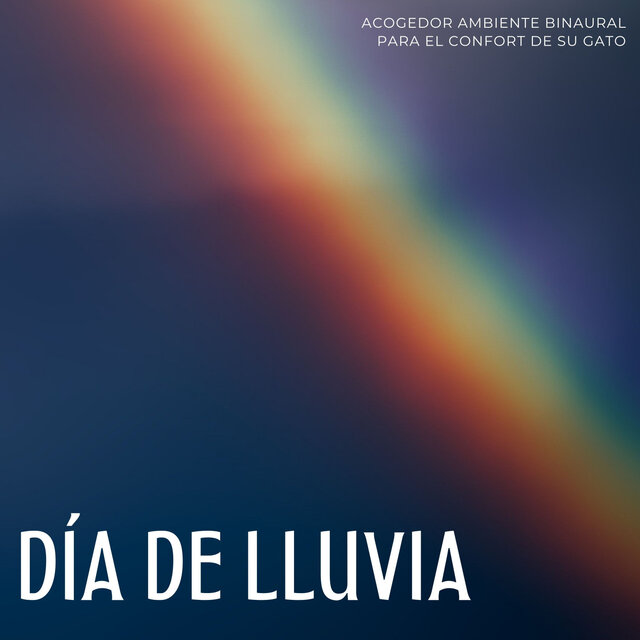 Día De Lluvia: Acogedor Ambiente Binaural Para El Confort De Su Gato