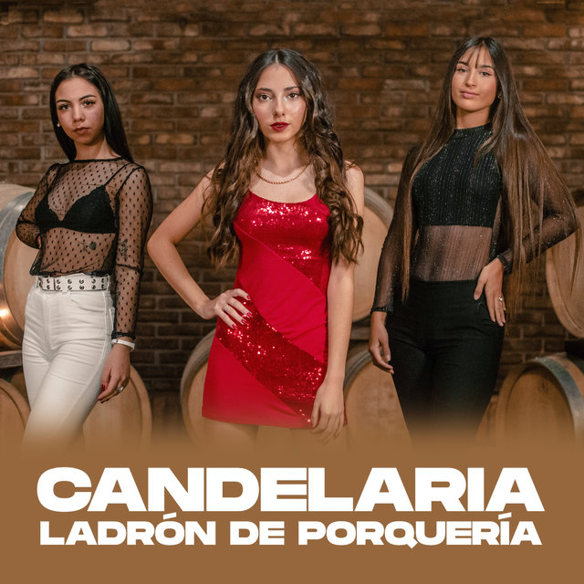 Ladrón de Porquería
