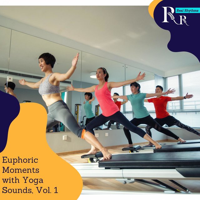 Euphoric Moments with Yoga Sounds, Vol. 1