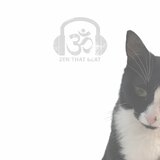The Come Down (Radio Edit)