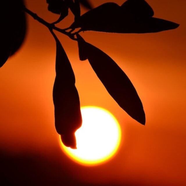 Sun to rise