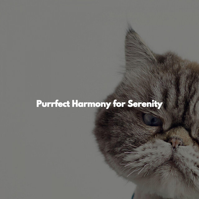 Purrfect Harmony for Serenity