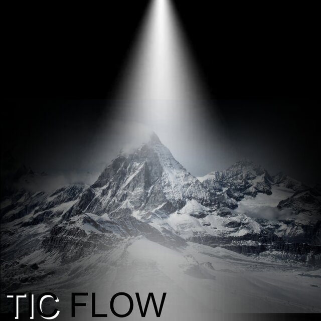 TIC FLOW