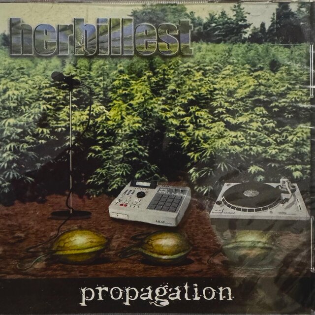 propagation