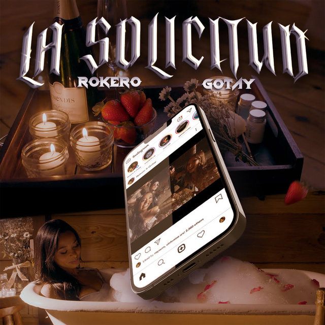 La Solicitud