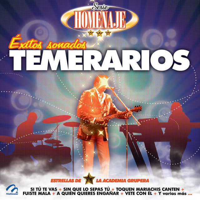 Serie Homenaje: Exitos Sonados - Temerarios