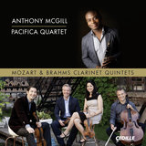 Clarinet Quintet in B Minor, Op. 115: I. Allegro