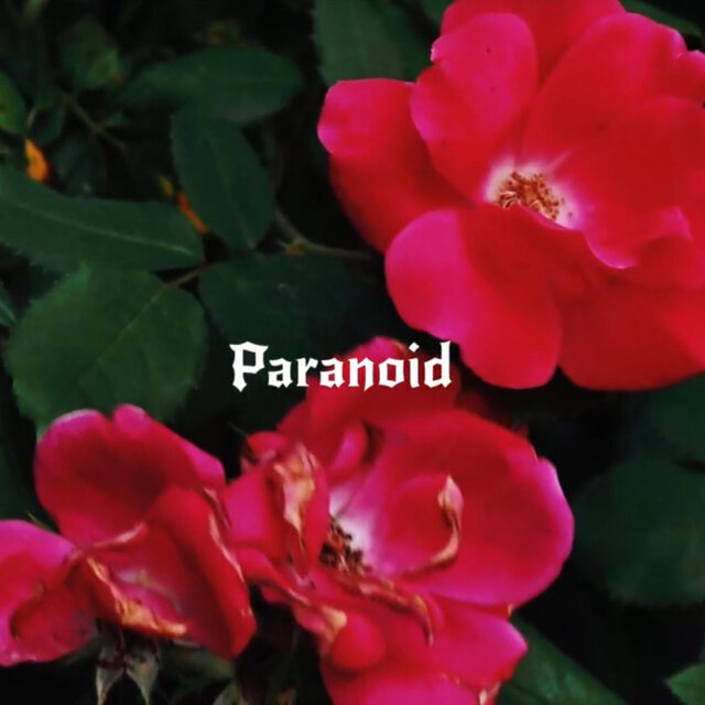 Paranoid