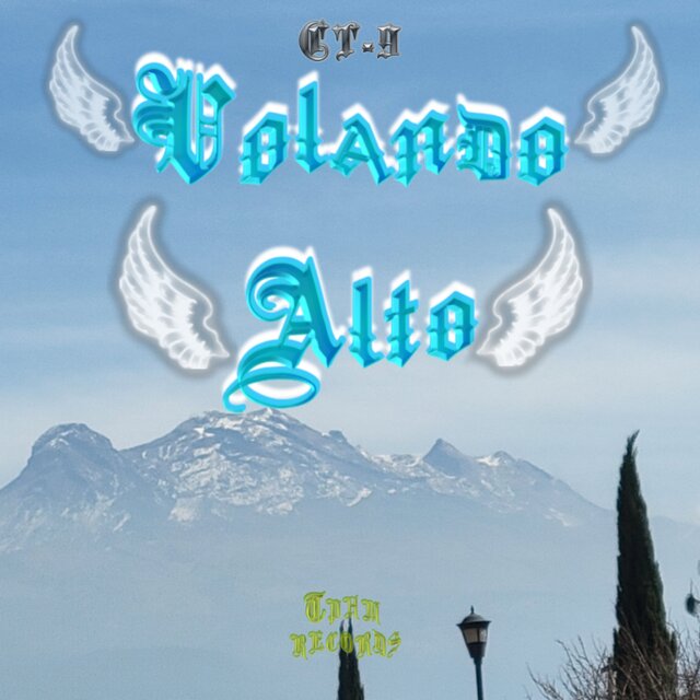 Volando Alto