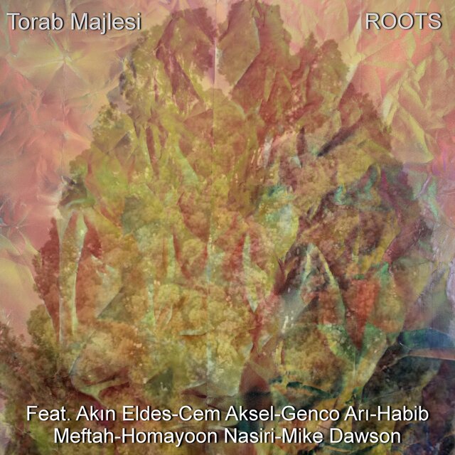 ROOTS