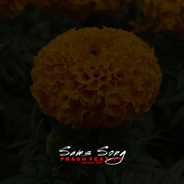 Sam's Song (feat. Y.T. & Heavy L Beatz)