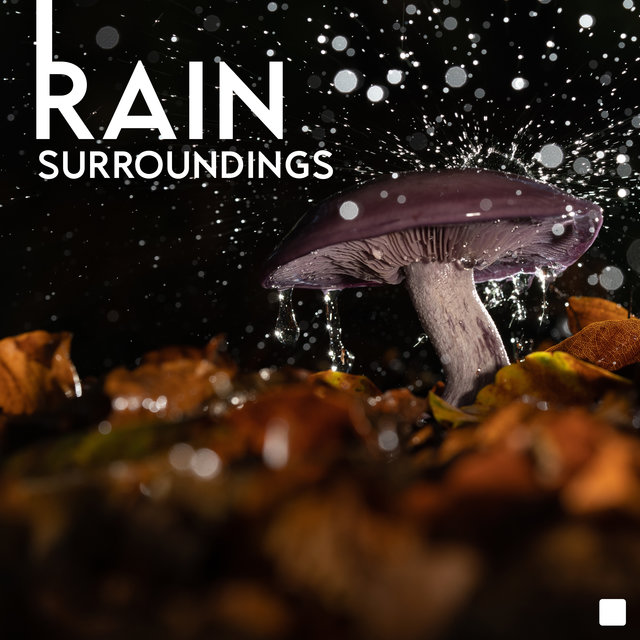 Rain Surroundings - Sleeping and Relaxing Rain Sounds