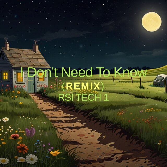 I Don't Need To Know (Remix)