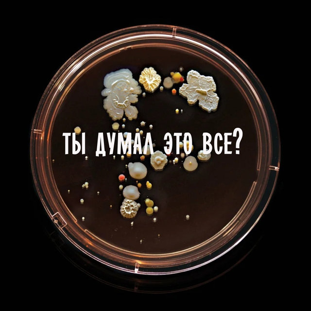 Ты думал это все?