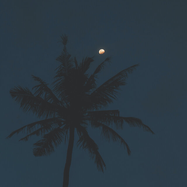 內心平靜 - 夜色下的鋼琴呢喃