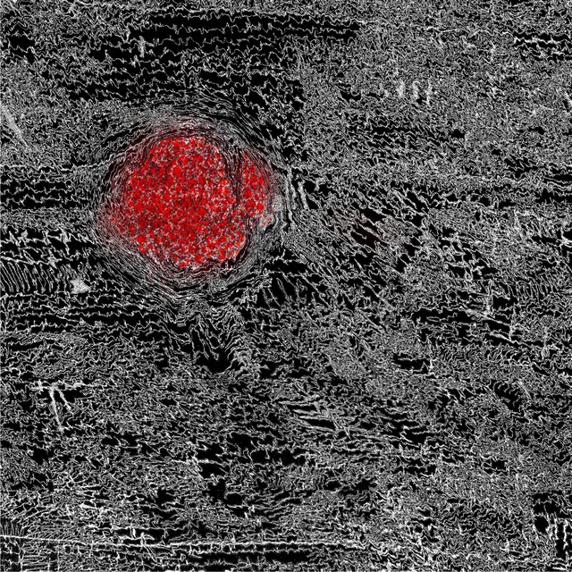 Live From Under A Blood Red Sun