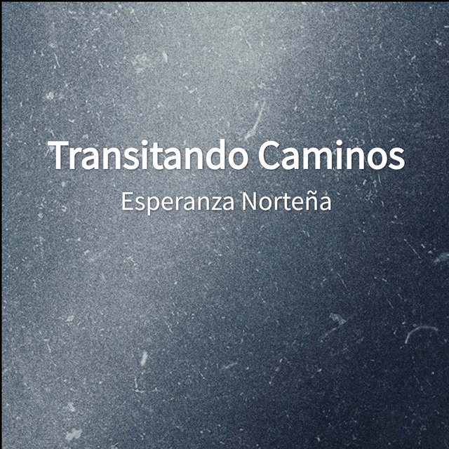 Transitando Caminos