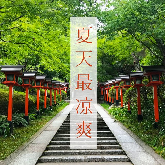 夏天最凉爽: 鸟叫曲, 微风, 细雨, 夜晚, 和风自然声