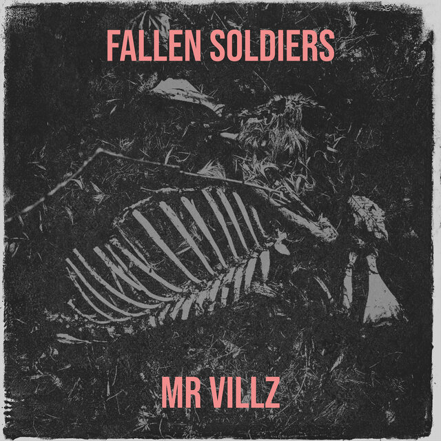 Fallen Soldiers