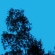 Cover art for album A Republic of Sadness by GATE