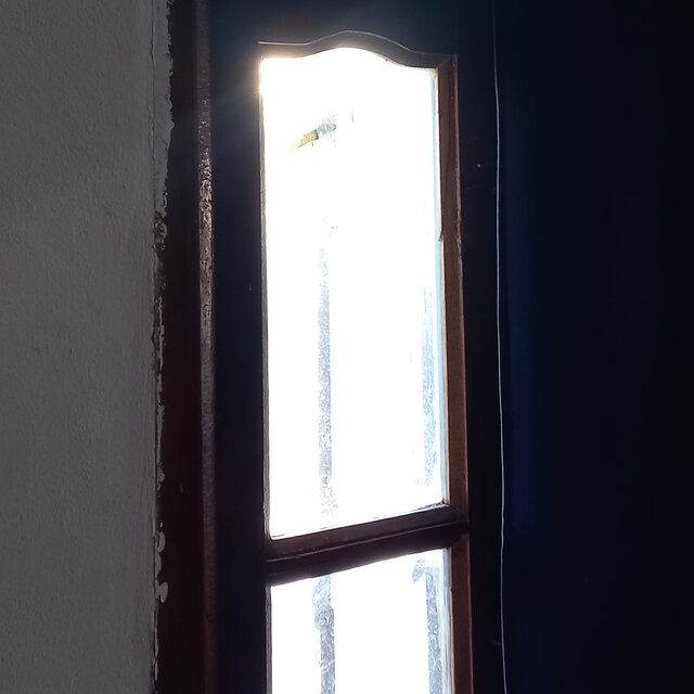 En la siesta