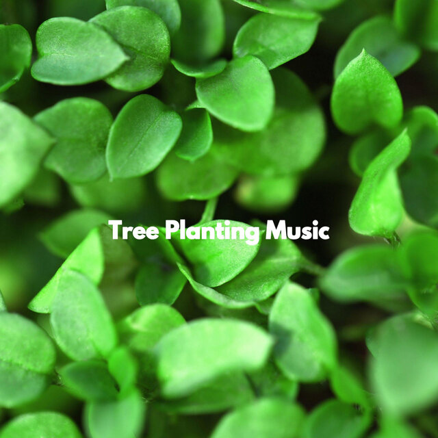 Tree Planting Music