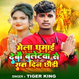 Mela Ghumai Debo Buletwa Se Rat Din Chhaudi
