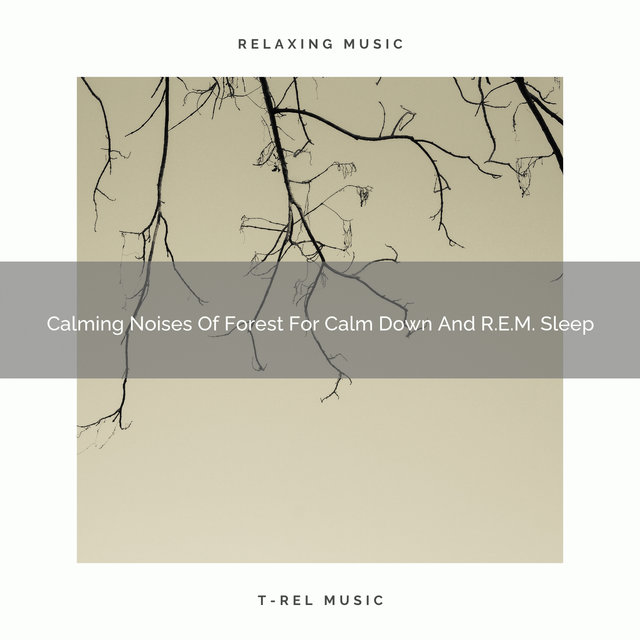 2021 New: Calming Noises Of Forest For Calm Down And R.E.M. Sleep