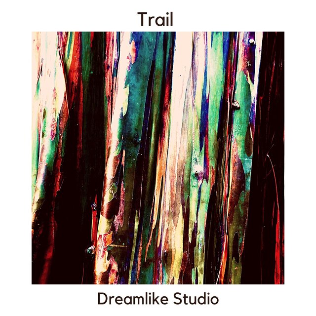 Trail