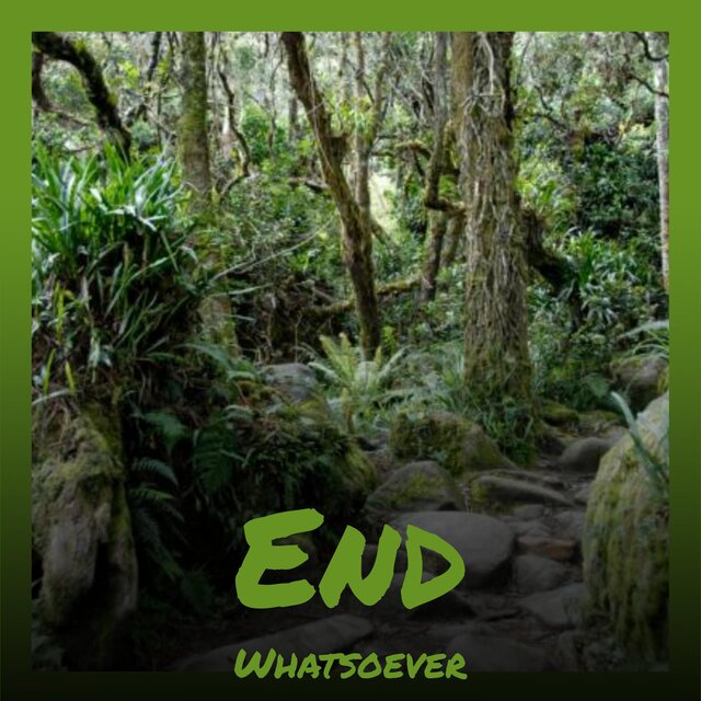 End Whatsoever