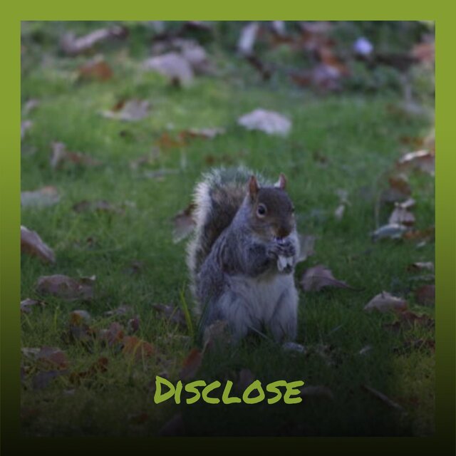 Disclose