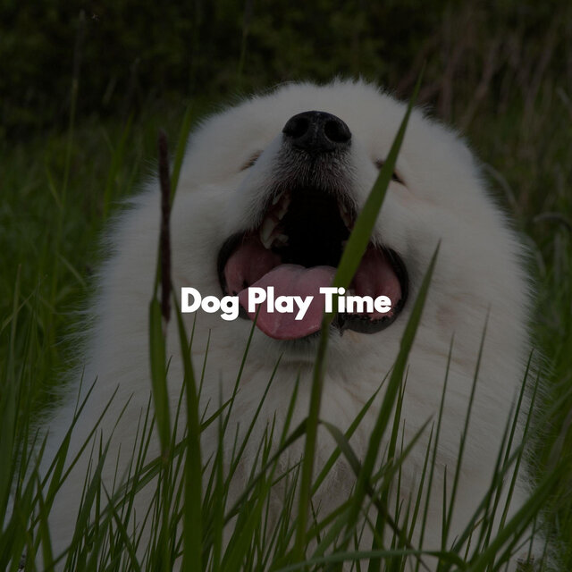 Dog Play Time