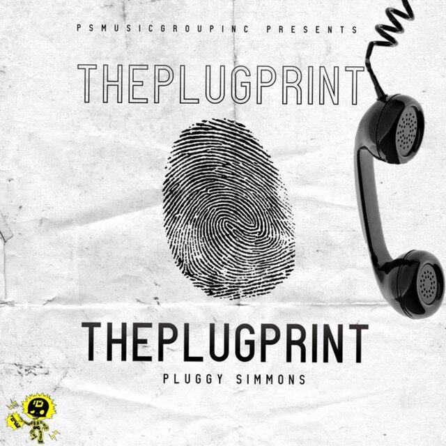 ThePlugPrint
