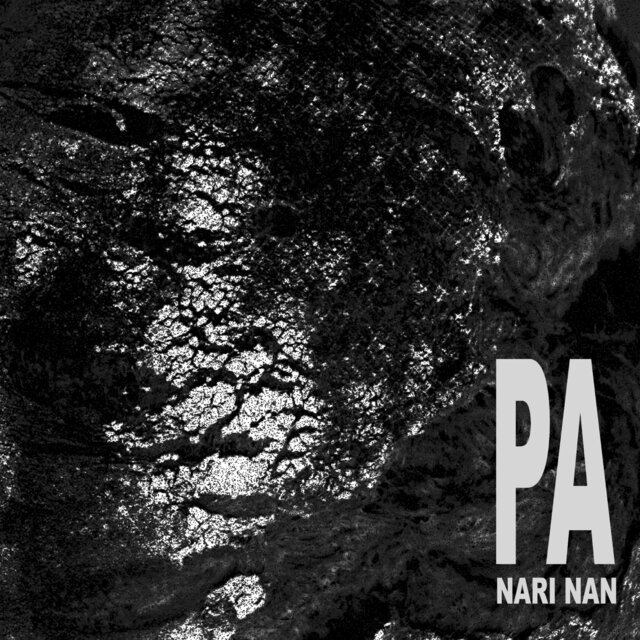 Nari nan