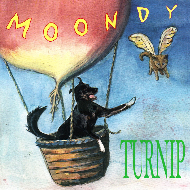 Turnip