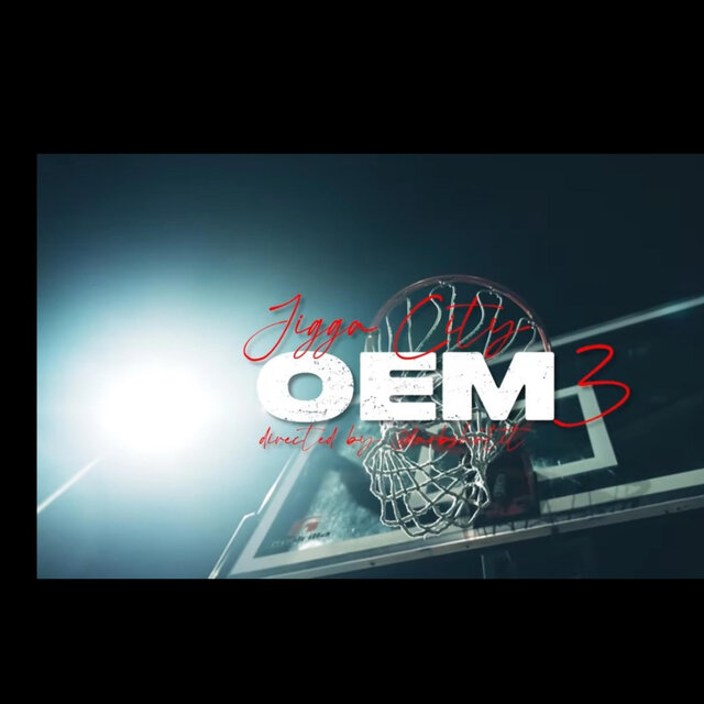 OEM 3