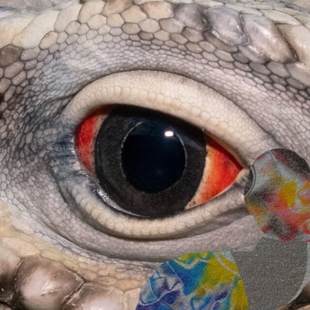 Cover art for album Jeremy Harris by User