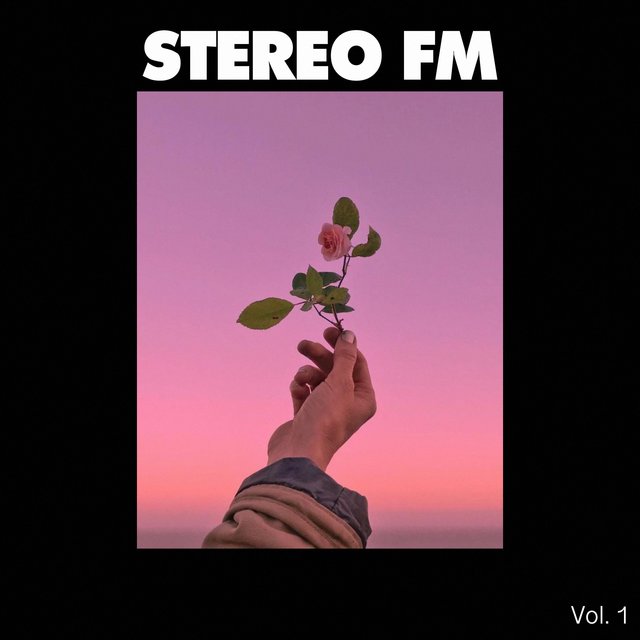 Stereo FM, Vol. 1