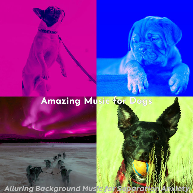 Alluring Background Music for Separation Anxiety