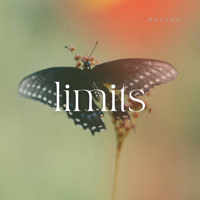 Limits