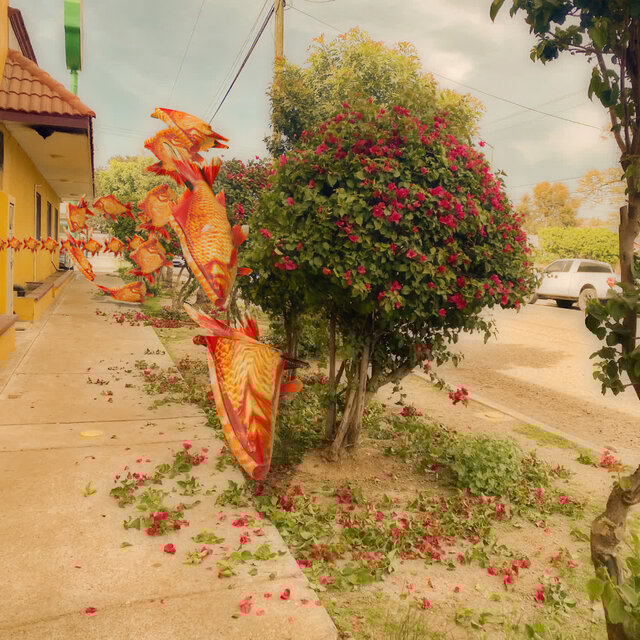 peaje