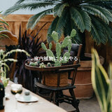 Modern Ambiance for Relax Hour