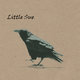 Cover art for album Crow (20th Anniversary Edition) by Little Sue