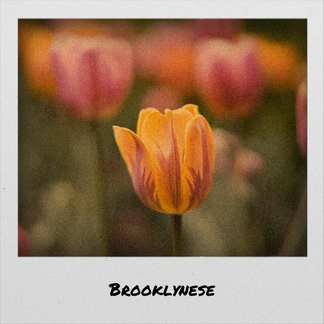 Brooklynese