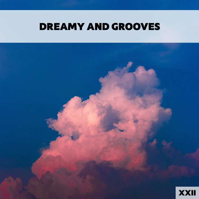Dreamy And Grooves XXII