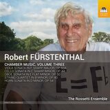 Horn Sonata in D Minor, Op. 54: IV. Grave - Allegro con brio